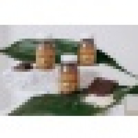 Protein Cocofir Schokolade BIO 6 Stück