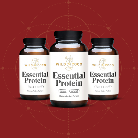 Weihnachtspacket Essential Protein