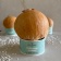 Wild Raw Coconut Water BIO – kopie